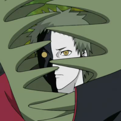 250px-Zetsu.png