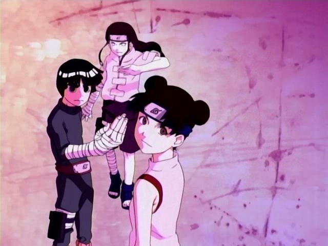 Neji,Lee a TenTen