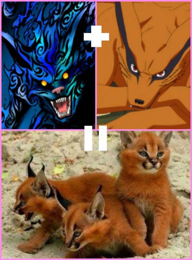 Kurama a  Nibi