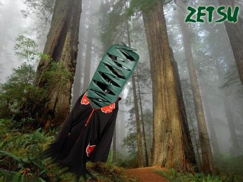 Myslím, že toto je nejdokonalejší obrázek cosplay Zetsua, co sem kdy viděla !:D