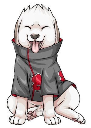 Akamaru Akatsuki