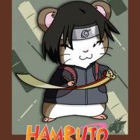 Hamruto - Sai