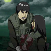 Neji and Lee.(spoiler)