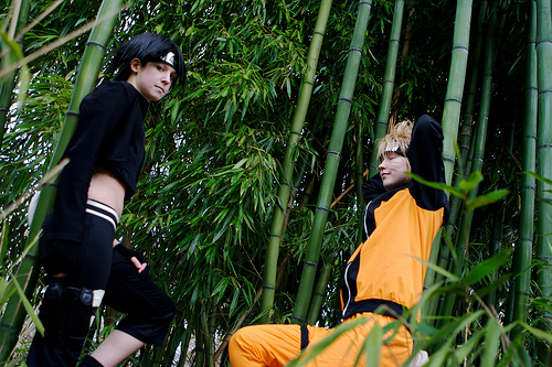 Sai & Naruto (maverickwarrior & twinfools)