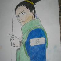 .....shikamaru-kun.....