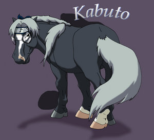 Kabuto --> kůň