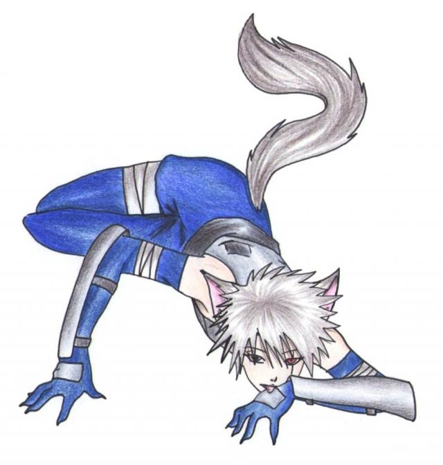 Neko Kakashi