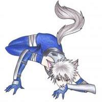 Neko Kakashi