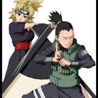 ShikaTema