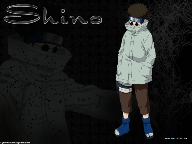 Shino