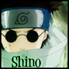 Shino