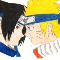 * Naruto and Sasuke *