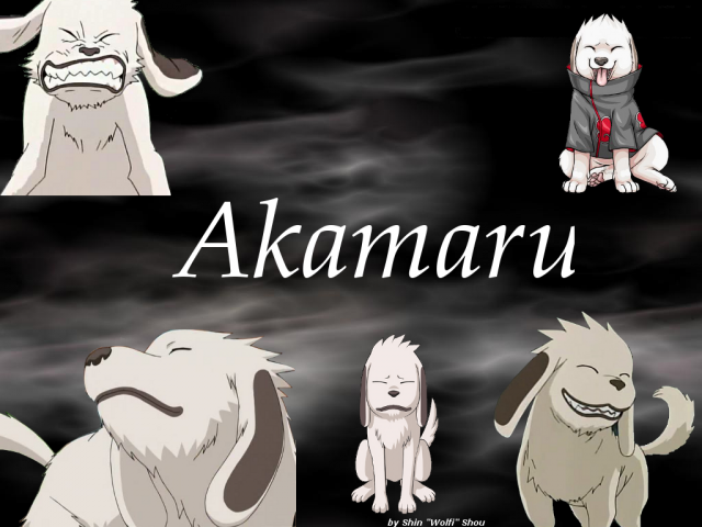 Akamaru