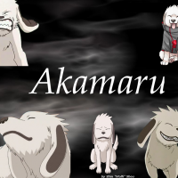 Akamaru