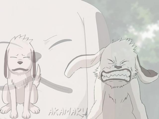 Akamaru