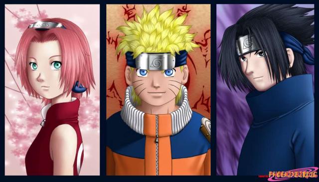 Team 7