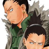 Nara Shikamaru a jeho otec