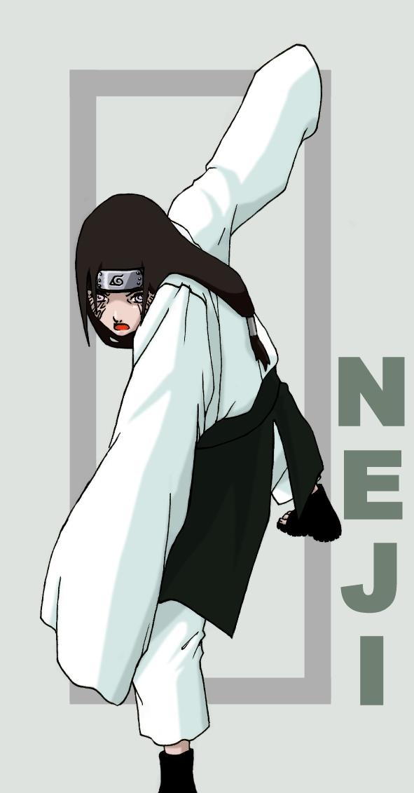 Neji v shippudennu