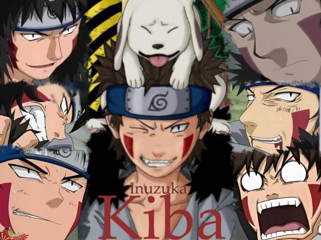 kiba mega wall