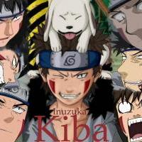 kiba mega wall