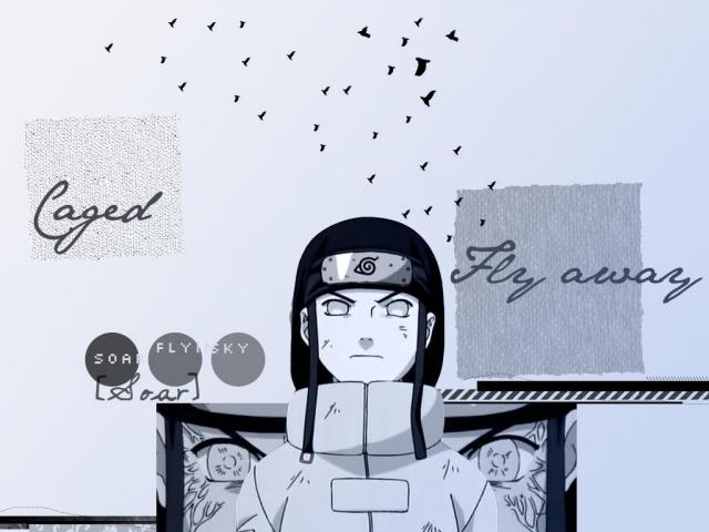 Neji wallpaper by dicer