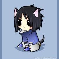 kitty sasu 