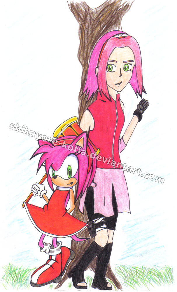 série Sonic&Naruto - Amy a Sakura