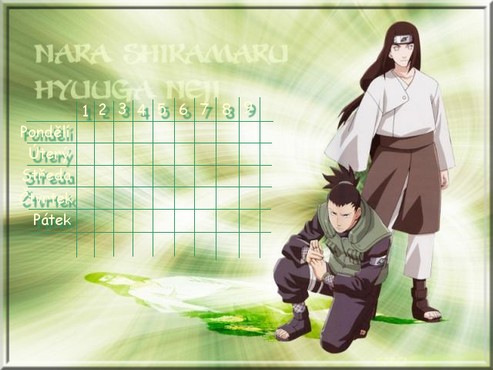 Neji a Shikamaru