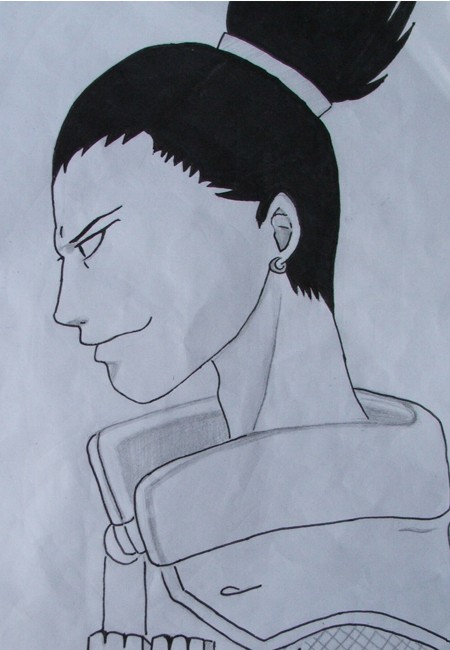 SHIKAMARU-2