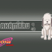 Akamaru