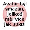 Obrázek uživatele Chlupik13